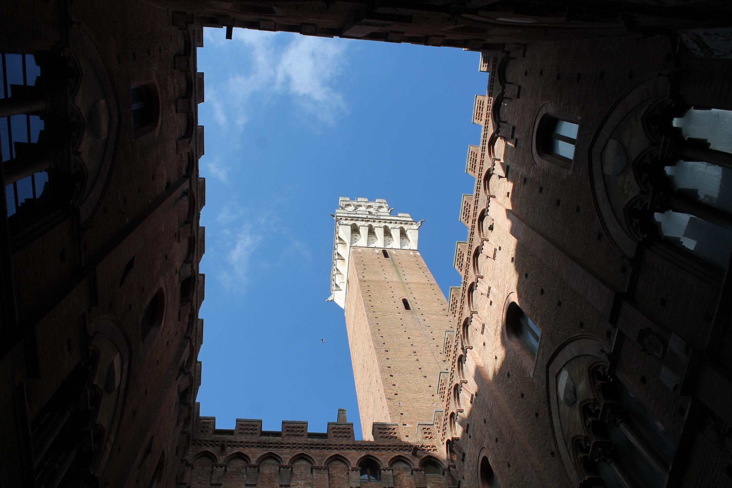 Palazzo Pubblico and Sienese art. 